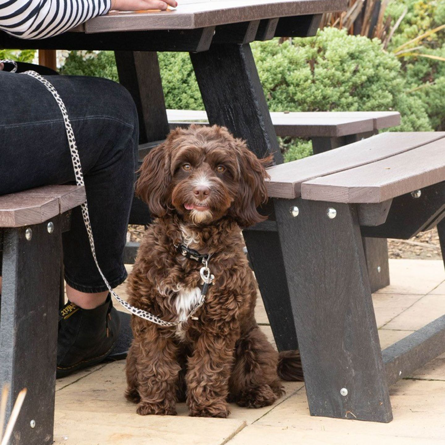 Your local dog friendly pub in Sittingbourne